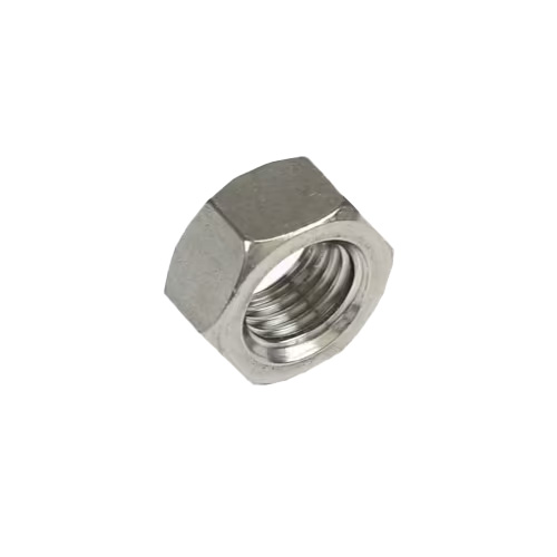 SS Nut