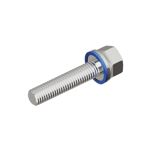 Screw